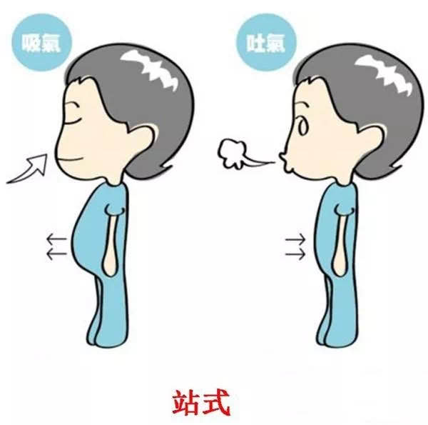 春季呼吸系统疾病高发,养生先养肺!